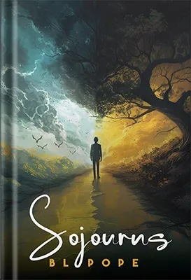 Sojourns by Platoon Publishing Group  LLC
